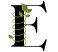 Letter E